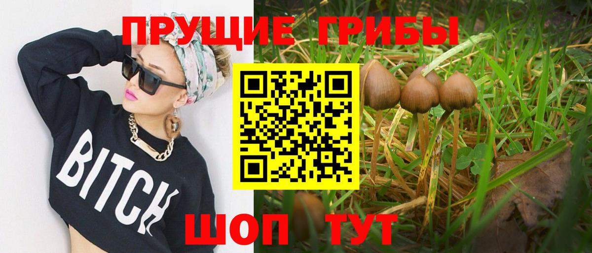 Галлюциногенные грибы мицелий  Вход с VPN  Шадринск 